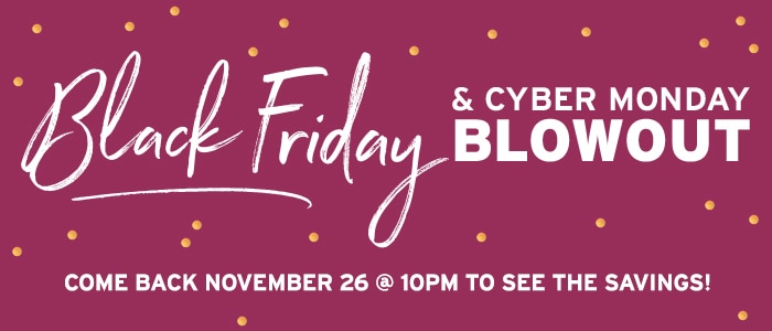 pre Black Friday 2020