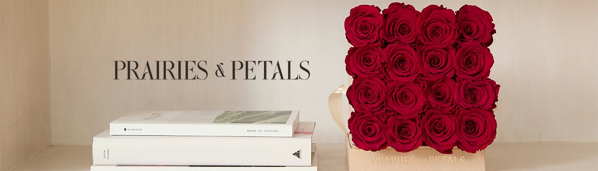 HG HDR Prairies Petals 02