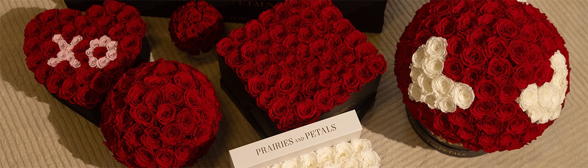 HG HDR Prairies Petals 03