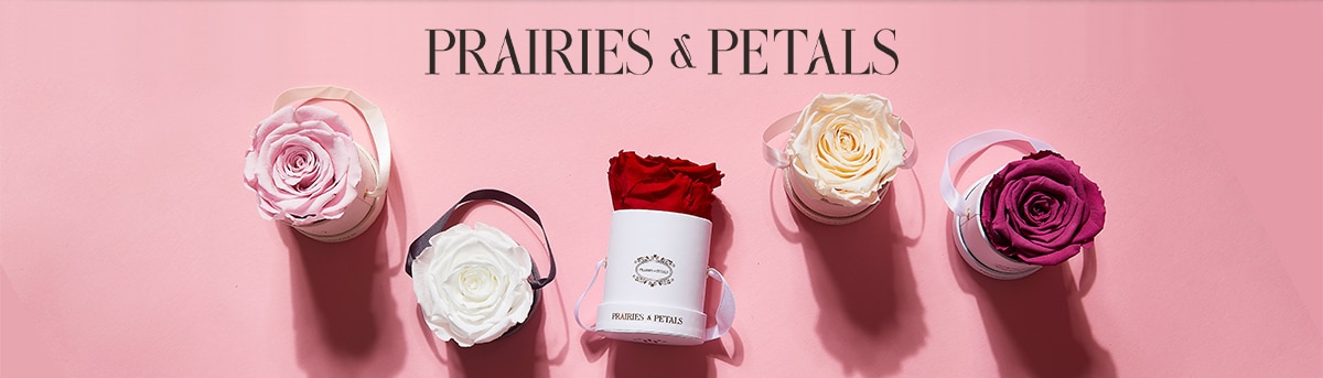 Prairies And Petals